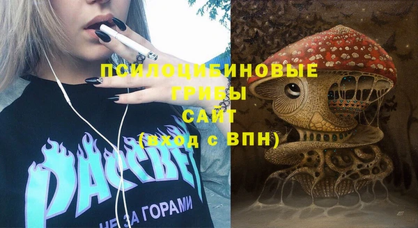 СК Алзамай